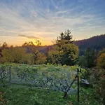 Goralska Chata Bystre Z 1863r Шале Истебна