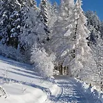Goralska Chata Bystre Z 1863r