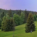 Goralska Chata Bystre Z 1863r Шале *