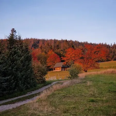 Goralska Chata Bystre Z 1863r *