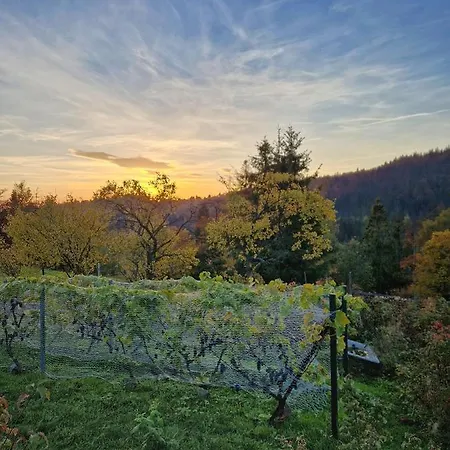 Góralska Chata Bystre Z 1863r Chalet Istebna