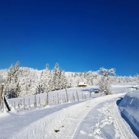 Góralska Chata Bystre Z 1863r Chalet