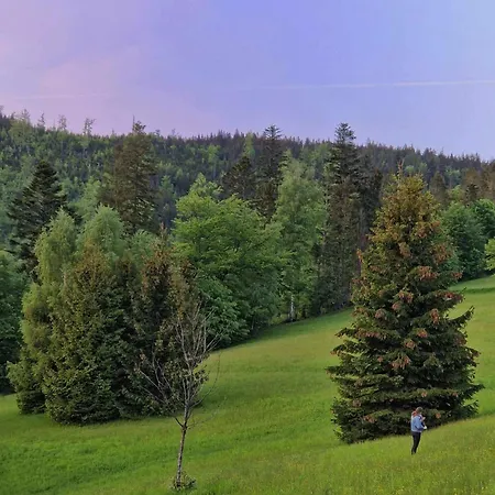 Góralska Chata Bystre Z 1863r Chalet *
